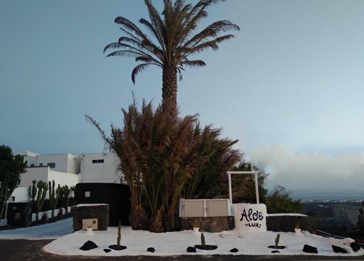 Conil Aloelux Villa ! - Private Villa With Jacuzzi, Cinema ,Massage ,Wonderful View, Art Desing Villa מראה חיצוני תמונה